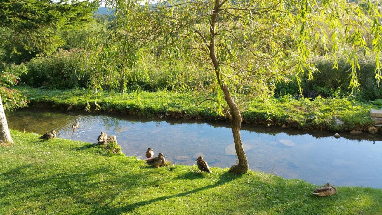 Rustic Inn River Prijeboj Extérieur photo